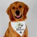 YTNONT Dog of Honor Maid of Honor Wedding Dog Bandana Wedding Photo Prop Pet Scarf Accessories Coral Wedding Bandana White 1 Count (Pack of 1) - Buy Online on GoSupps.com