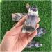 Stone Crafts Natural Rough Dream Amethyst Crystal Gemstone Chevron Crystal Stone Home Decor Natural Luster - Buy Online on GoSupps.com