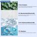 PLUSREAL Cica + Niacinamide Cream for Redness Relief | Fragrance-Free Vegan Skincare for Dry & Sensitive Skin | Centella Asiatica | 2.02 fl. oz - Buy Online on GoSupps.com