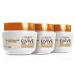 L'Or al Paris L Or al Paris Oil nourishing mask Elvive Extraordinary oil end of coconut hair normal to dry 300 ml 3 packs