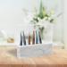 HALTURE 8-Hole Tweezers for Eyelash Extensions | Durable Acrylic Make-Up Accessories - Buy Online on GoSupps.com