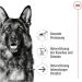 Royal Canin Maxi Ageing | 12 x 410 g | Complete Food for Large Older and Senior Dogs (26 to 44 kg) | Nutrient-Rich and Balanced Wet Food from Five Years Old - Buy Online on GoSupps.com