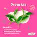 Kanica Gel with Green Tea, Aloe Vera, Avocado, and Wheat Germ - Paraben & Alcohol Free - Buy Online on GoSupps.com