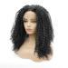 Buy Small Curly Black Fluffy Wig - Front Lace Chemical Fiber for Men | Long Curly Hair Wig - Buy Online on GoSupps.com