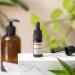 ORGANIC - PRICKLY PEAR SEED Oil - 10mL - 100% Pure Natural Cold Pressed And Cosmos Certified - AROMA LABS (French Brand) - Buy Online on GoSupps.com