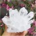 400-500g Natural Clear Quartz Crystal Cluster Minerals for Reiki Stone Home Furnishing ZJGIDTEM - Buy Online on GoSupps.com