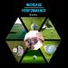 NuRich Golf Ball Line Liner Tool - 2 Pack for Perfect Alignment on Putting Greens | Portable Golf Accessories for Bag | Easy-to-Use Drawing Marking Tool - Buy Online on GoSupps.com
