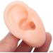 Chanmea Multi-Purpose Human Ear Model - Soft Teaching Tube for Hearing Aid Simulation & Practical Exercises - Buy Online on GoSupps.com
