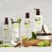FRUIT WORKS Coconut & Lime Vegan Body Scrub - Cruelty Free Natural Extracts 225ml - International Shipping - Buy Online on GoSupps.com