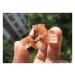 Natural Rare Aragonite Quartz Crystal Cluster Shape Rough Stone Nepheline Home Decor Gifts Beautiful Natural Luster (Size : 10pcs)