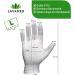 Dermatest Very Good LAVAMED Cotton Gloves - Extra Soft 100% Cotton Jersey Gloves - Premium Cosmetic Gloves (6-Pack 3 Pairs Size L) - Ideal for Sensitive Skin - Buy Online on GoSupps.com