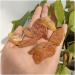 8pcs 30-40mm Natural Amber Stone Rough Crystals Home Decoration Jewelry Raw Materials Stone Price Decorative Stones - Buy Online on GoSupps.com