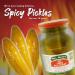 Mrs. Klein's Large Hot Pickles - Bold Spicy Dill Snack with Natural Ingredients | Kosher, Low Carb, Gluten Free & Vegan | 128 fl oz Jar - Buy Online on GoSupps.com