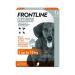 Frontline For Dogs (Plus For Small Dog)