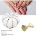 Nail Tip Stand Ceramic Pumpkin Shaped Nail Display Stand Nail Practice Stand for Home DIY and Salon Magnetic Nail Tip Holder Stand Set for Nail Beauty Salon(white) - Buy Online on GoSupps.com