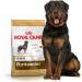 Royal Canin Dog Food Rottweiler 26 Dry Mix 12kg Poultry 12 kg (Pack of 1) - Buy Online on GoSupps.com
