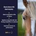 Aviform ELECTROFORM EQ | Equine Electrolytes | 1kg Compostable Pouch | Fast Delivery - Buy Online on GoSupps.com