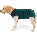Breathable Dog Dividers for Surgical Wounds - Anti-Losing Cone & E-Neck Band Alternative - Size M (1-Pack) - Streak Green - Buy Online on GoSupps.com