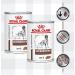 AETN Creations Bundle Pack of 2x400g Wet Gastrointestinal Veterinary Diet Dog Food for Adult Dogs with Long or short-term Digestive Sensitivities plus AETN Jerky Treat - Buy Online on GoSupps.com