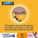 Pedigree Dentastix Chewy Chunx Dental Snack for Small Dogs Chicken Flavor (5 sachets x 68 g) - Buy Online on GoSupps.com