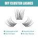8mm Lash Clusters - C Curl Individual Eyelash Extensions for a Natural Look | Super Soft & Lightweight | International Shipping - Buy Online on GoSupps.com