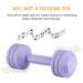 Silicone Baby Dumbbell Teether Toy - Weight Rattle Sensory Toy for Boys and Girls - Perfect Gift for Toddlers - Buy Online on GoSupps.com