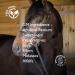Nourish Science Supplement's Electrolytes Horse Supplement - Buy Online on GoSupps.com