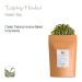Taiping Houkui Green Tea - Premium Chinese Tea - 100g Monkey Chief Tee - Organic & Authentic Tai Ping Hou Kui - Buy Online on GoSupps.com