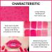 BINGBRUSH 4Pcs Bright Vivid Color Lip Tint Set - Long-wear Non-sticky Lightweight Stains - Liquid Lipstick Rouge Lip Gloss Gift Set - Buy Online on GoSupps.com