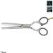 JAGUAR Pre Style Ergo 28 Texturising Scissors 5.5 | German Quality | 28 Thinning Teeth | Classic Matte Design | International Shipping - Buy Online on GoSupps.com