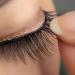 40 Pcs Self Adhesive Fake Lashes - No Glue Required | Easy Apply False Eyelash Strips for Makeup | Perfect for Beauty & Personal Care - Buy Online on GoSupps.com