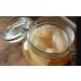 Buy Organic Kombucha SCOBY - Live Culture Limited Edition | Best for Home Brewing - Buy Online on GoSupps.com