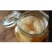 Scoby Kombucha Scoby Organic live culture 1 piece Limited Edition