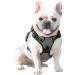 Phoepet Reflective Adjustable Dog Harness with Training Handle | XS Gray Black | Anti-Educational Easy Tightening ID Card & Metal Hooks - Buy Online on GoSupps.com