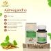 Maharishi Ayurveda Ashwagandha - Organic Indian Sleep Berry 60 Tablets - Vegan Lab Tested Quality - Buy Online on GoSupps.com