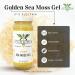 Wildcrafted Golden Sea Moss Gel - 100% Natural, Gluten-Free, Vegan & Non-GMO - 8oz - Buy Online on GoSupps.com