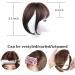 Bcenoilua Clip in Fringe Clip in Bangs for Women Hair Extensions Thinning Hair Real Hair Clip on Bangs French Bangs Light Bangs Fashion Wispy Bangs Hair Pieces Daily Wear Dark Brown - Buy Online on GoSupps.com