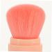 5-in-1 Makeup Brush Set | Highlighter Concealer Blush Foundation & Powder Brush for Flawless Face Makeup | International Shipping Available - Buy Online on GoSupps.com
