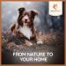 Wildfang Leather Chew for Dogs & Puppies | Naturally Tanned Soft Dog Toy | Ideal Chewing Bone for Small Dogs (Up to 10kg) - 3 x 13 cm Set - Buy Online on GoSupps.com