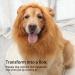 Lion Mane For Dog Realistic Black Lion Mane For Dog Comfortable Fancy Lion Hair Dog Clothes Dress For Halloween Christmas Easter Festival Party Activity Dogs Cosplay Dress Up (Dark Brown M) M Dark Brown - Buy Online on GoSupps.com