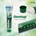 Dentup Herbal Toothpaste with Neem - Complete Oral Hygiene | Pack of 2 (100 gm x 2) - Buy Now - Buy Online on GoSupps.com