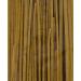 Plentiful Pantry Roasted Garlic Parsley Linguini Pasta 12oz - Handmade, Cooks in 2-3 Minutes - Buy Online on GoSupps.com