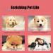 High-Quality Smandy Dog Door Bells - Training Bells for Potty and Communication - Red - Buy Online on GoSupps.com