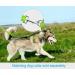 Taglory Light Dog Leash for Small Dogs | Reflective Double-Sided | Padded Handle | 1.2m x 2cm | Up to 10kg - Green (1-Pack) - Buy Online on GoSupps.com