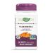 Nature's Way Standardized Turmeric, 95% Curcuminoids, TRU-ID Certified, Vegan, 60 Count 60 Tablets
