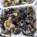 Natural Rough Smoky Quartz Crystal Cluster Specime Beautiful Crystal Cluster (Size : 1pc 760G-850G) - Buy Online on GoSupps.com