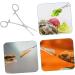 Generic Reptile Feeding Clip Snake Tongs Reptile Feeding Tongs Silver Stainless Steel - Buy Online on GoSupps.com