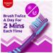 Colgate ZigZag Toothbrush Pack of 6 | Deep Interdental Clean with Multi-Angle Bristles - Medium Size - Buy Online on GoSupps.com