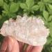 Crystal Rough Specimen Healed 70g Natural Crystal Quartz Cluster Colourful Specimen Electroplating Coated Reiki Stone Home Decoration Craft As a Gift - Buy Online on GoSupps.com