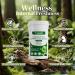 TrySafe 950MG Natural Chlorophyll Capsules with 600MG Chlorophyll Copper Sodium Salt 200MG Spirulina 150MG Chlorella - Detox & Digestion Support* Effective Body's Odor Control* - Buy Online on GoSupps.com